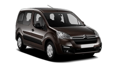 Citroen Berlingo Multispace  Коричневый / Brown Squirell